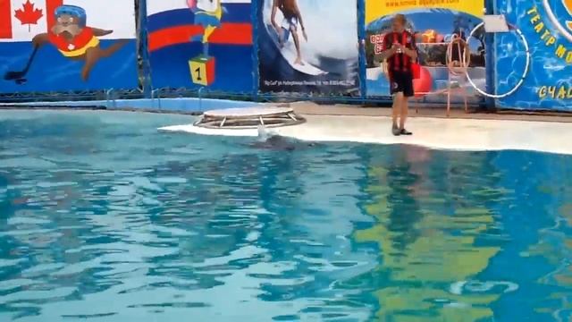 Морской котик Ваня.mp4 смотреть онлайн