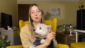МИНУСЫ ПОРОДЫ ВЕСТ ХАЙЛЕНД УАЙТ ТЕРЬЕР // ОСОБЕННОСТИ ПОРОДЫ