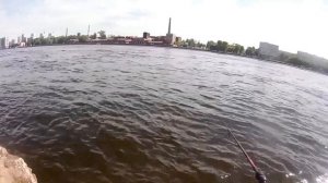 САНКТ-ПЕТЕРБУРГ рыбалка на Неве микроджиг в отвес окунь!