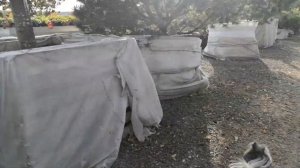 Поездка в питомник растений