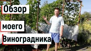 Виноградство в Оренбуржье.Обзор моего виноградника. Сорта винограда