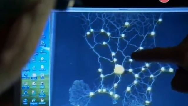 Слизевик смотреть онлайн