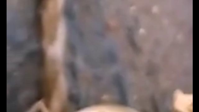 Как сделать насос Ручеек, который не выкачивал воду.