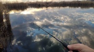 Осень.Спинниг с берега.crazy fish perfect jig 0.6-7гр.