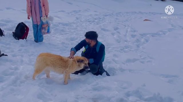 Trip to kara-koi?/osh kyrgyzstan/Russia…and lots of masti??#medicalstudent смотреть онлайн