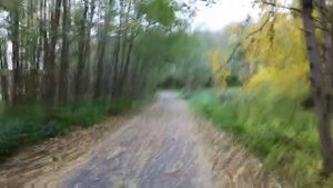 На велосипеде из Зеленоградска в Светлогорск, 03.11.2023