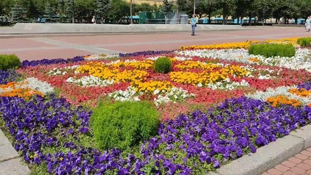 Прогулка по площади Ленина. Санкт-Петербург 22.07.2023г. смотреть онлайн