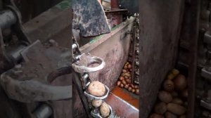 картофеле сажалка самодельная