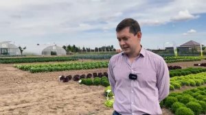 Самые вкусные и красивые салаты без горечи _ Сколько нужно поливать салаты.mp4