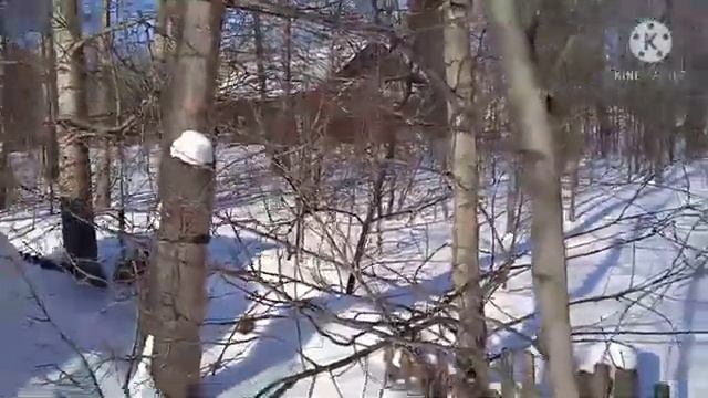 ездил к отцу,чего добился фермер в Сибири за 7 лет. смотреть онлайн