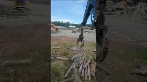 Захват бревнопогрузчика Caterpillar 320DFM CAT