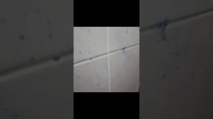 Удаление окалин от сварки с кафельной плитки.