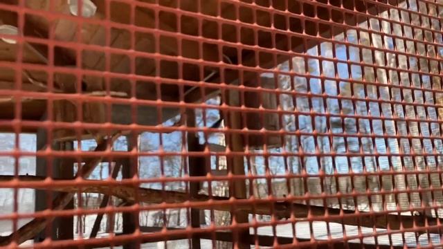 Санаторий Сибирь 20.03.2023