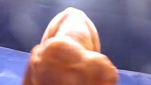 Vizsla Lembo Praut Petra 3 m