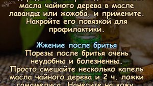 Масло ЧАЙНОГО ДЕРЕВА творит ЧУДЕСА С КОЖЕЙ! 10 сильнейших преимуществ!