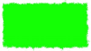 Футаж эффект рамка блеск белый #2 green background Frame white glitter effect