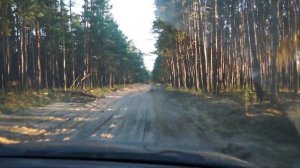 дорога в сельцах