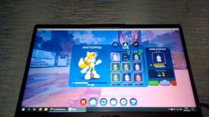 играю на ноутбуке в Sonic Speed Simulator