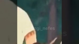 Лезгинский мультик