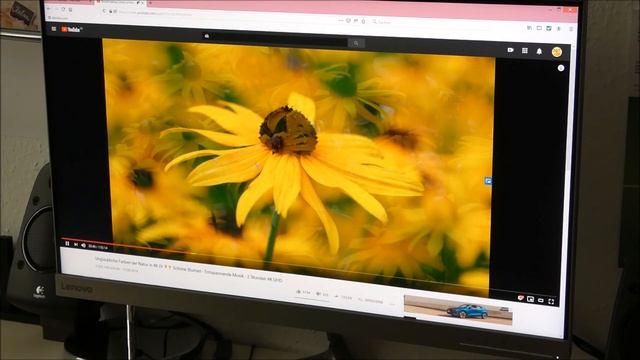 QHD 2K Monitor Vergleich ✔ Büro Privat oder Gamer [ Dell 24" Lenovo 27" Philips 32" ] Praxistest смотреть онлайн