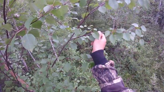 ОДИН ДЕНЬ В СЕЛЕ ОТ 1 ЛИЦА/ КАТАЮСЬ НА "КОЙРА" смотреть онлайн