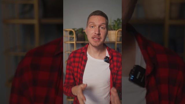 Авитаминоз у собак