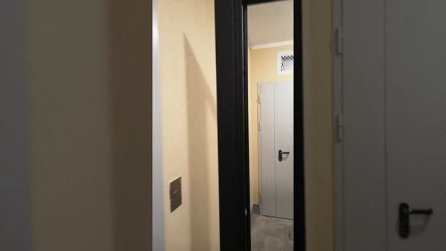 Входная металлическая дверь Сенатор Премиум Н с ударопрочным Зеркалом СБ - 16 цвет Белый силк сноу смотреть онлайн