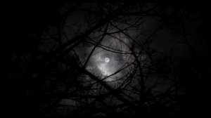 ДЕНЬ РОЖДЕНИЯ Страшные истории на ночь FNAF Creepypasta   перезолив с ютуба