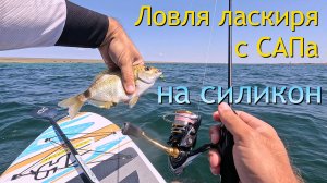 Ловля ЛАСКИРЯ на силикон с САПа. Новая раздача карася на оз. Донузлав