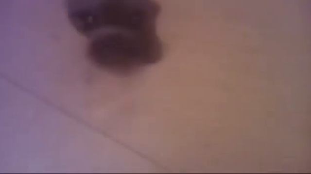 Дом Вари смотреть онлайн