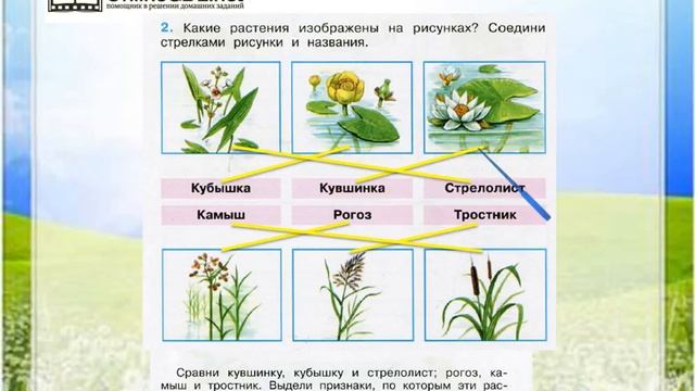 Жизнь пресных водоемов презентация 4 класс плешаков школа россии