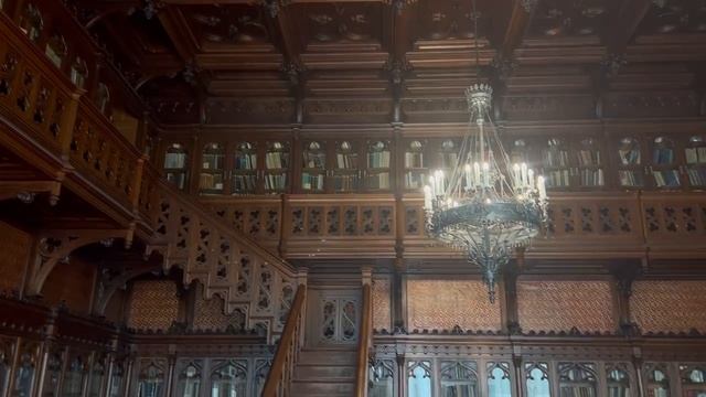 2_5240438637509753763.MOV