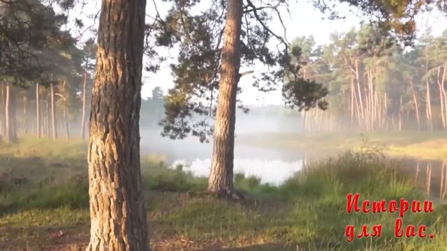 Оставшись наедине с тещей, я не растерялся. смотреть онлайн