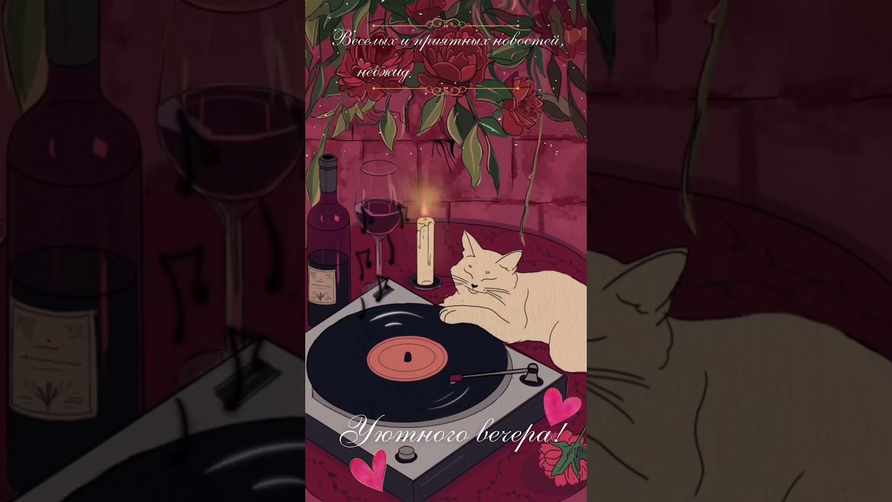 Уютного вечера! #shorts #добрыйвечер #уютноговечера