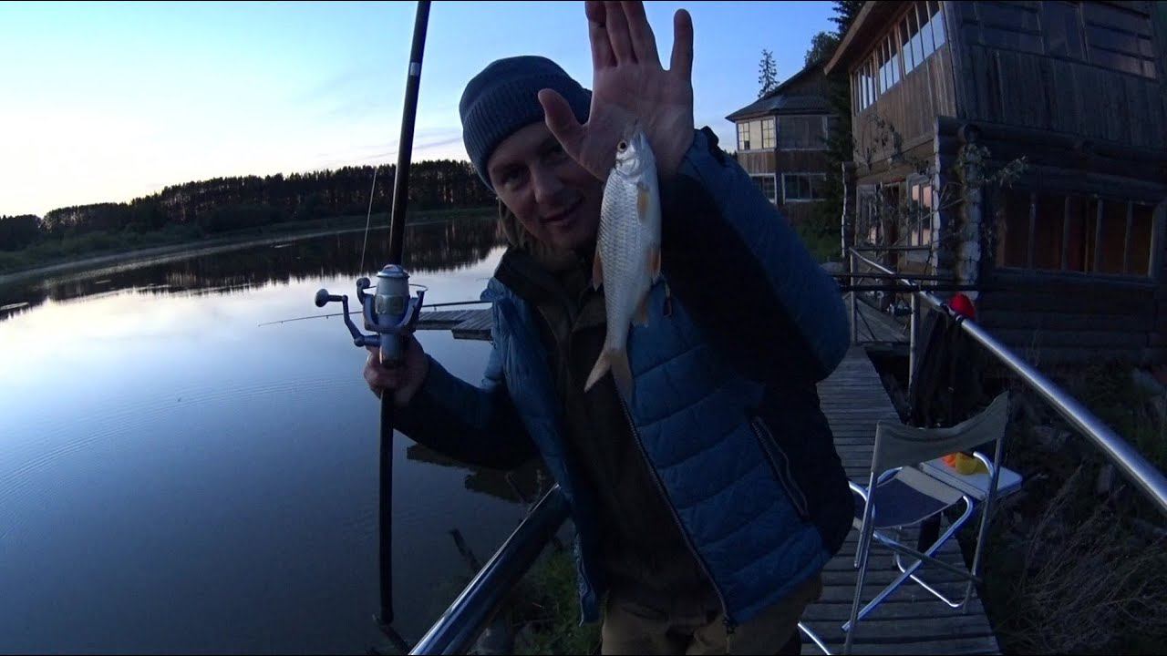 Таких батонов я еще не ловил!Крупная Сорога на кукурузу!В поисках крупного карпа.Рыбалка на поплавок смотреть онлайн