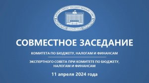 11.04.2024 Заседание Комитета ГС РТ по бюджету, налогам и финансам
