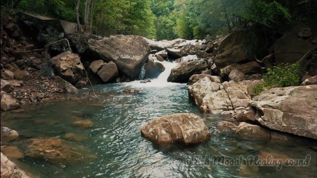 아침을 깨우는 명상음악 | With a natural & piano sound | relaxingmusic | 산책음악 смотреть онлайн