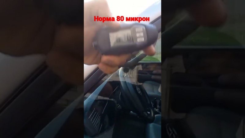 Land Cruiser олень в салоне))). Автоподбор"777"Минск.