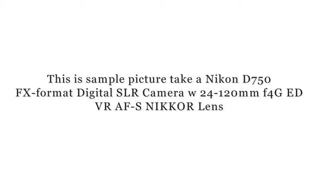 Nikon D750 FX format Digital SLR Camera w 24 120mm f4G ED VR AF S NIKKOR Lens смотреть онлайн