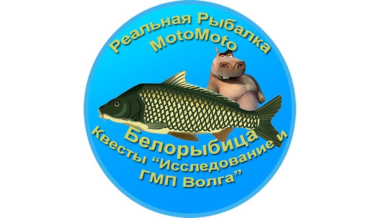 Белорыбица. Квесты 