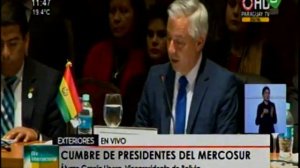 Alvaro Garcia Linera participa de la Cumbre de Presidentes del MERCOSUR