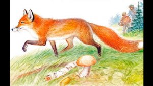 "Бешеный бельчонок" Рассказ В. Бианки. Аудио рассказ с картинками.