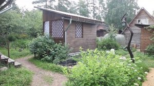 Перепела холодного копчения