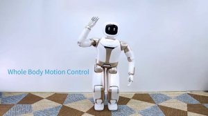 Walker Robot-Intelligent Humanoid, Ready To Be Assistant Or Your Best Friend