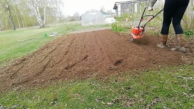 Культиватор патриот денвер в работе. смотреть онлайн