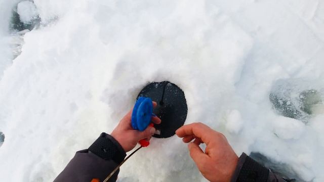 Поставил жерлицы на меляке и ОФИГЕЛ ! Сумасшедший ЖОР ЩУКИ в ГЛУХОЗИМЬЕ ! Иваньковское водохранилищ смотреть онлайн