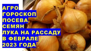 Агрогороскоп посева семян лука на рассаду в феврале 2023 Агрогороскоп посіву насіння цибулі в лютому