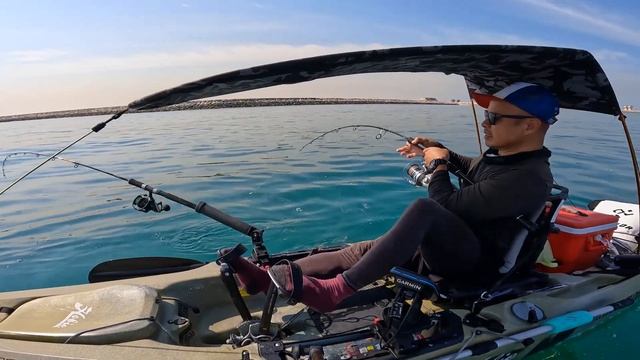 Last Kingfish of the season | Kayak fishing spot in Jebel Ali | #livebait_fishing #kayaking смотреть онлайн