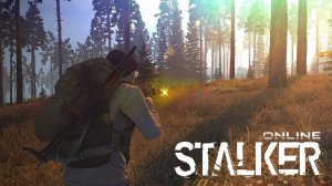 Stay Out (Держаться подальше)  Сталкер Онлайн SO Развитие С Нуля VK play EU СЕРВЕР N12 Уровень 46