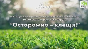 Осторожно клещи